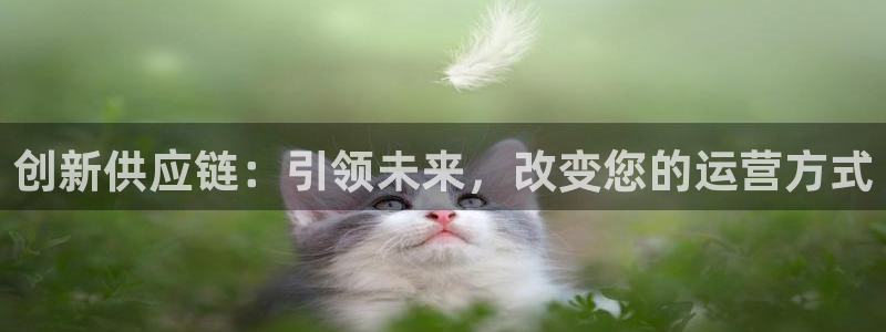 TP钱包CORE提币网址：创新供应链：引领未来，改变您的运营